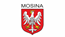Mosina